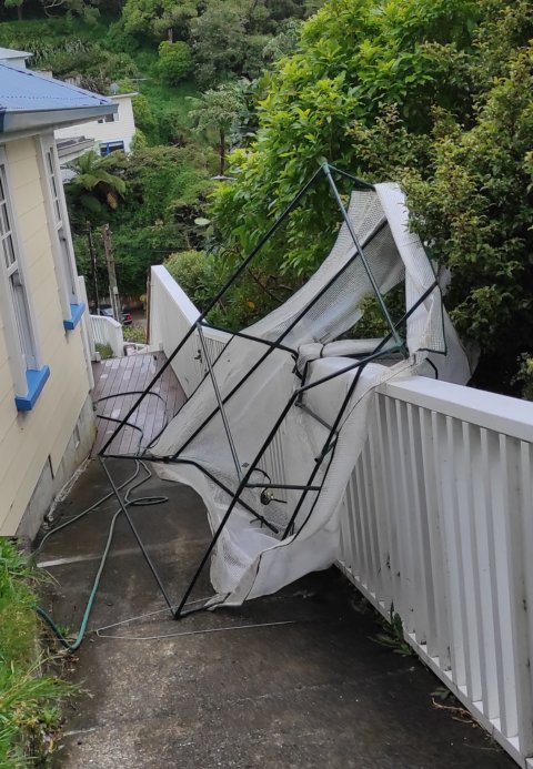 Broken Greenhouse